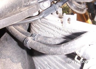 kawasaki                                   zx 10