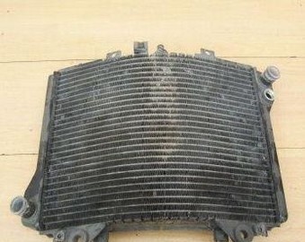 suzuki rgv 250