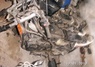 YAMAHA RD 250 thumbnail