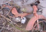 KREIDLER FLORETT