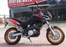 Aprilia Pegaso Factory …