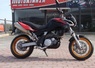 Aprilia Pegaso Factory 650