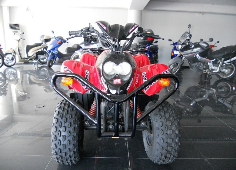 Pgo XR 50 