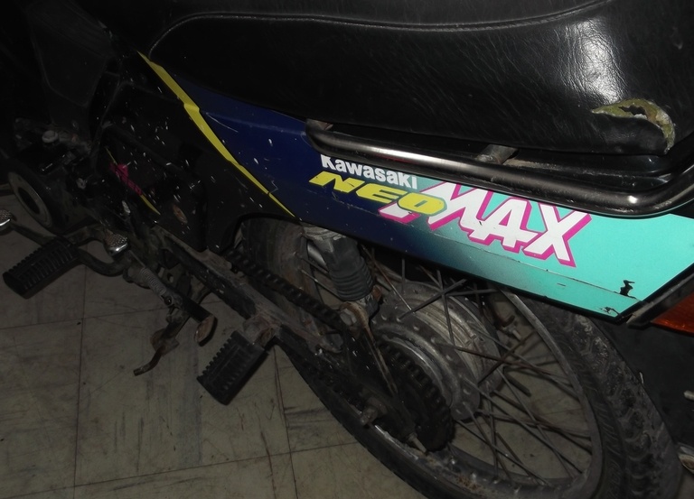 Kawasaki MAX 100