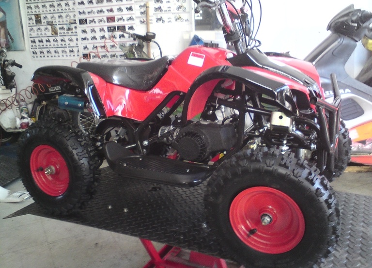 Bashan Torronto 49 …