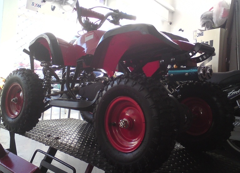 Bashan Torronto 49 …