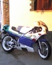 Yamaha TZR 250 …