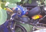 HONDA GLX 50 … thumbnail