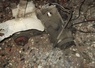 LEAD 80 MOTEΡ … thumbnail