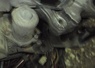 motoσυλλογη APRILIA SR50LC … thumbnail