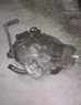 motoσυλλογη Μοτερ SUZUKI … thumbnail
