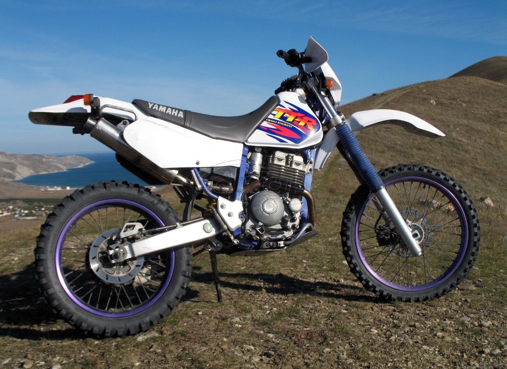 Yamaha TTR 250 …