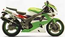 Kawasaki Ninja ZX-6R/ZX-6 ZZR-600 E1 1993/2001 Σετ επισκευής Μεμβράνη καρμπιρατέρ Ζιγκλερ βελόνα φωλιά λαστιχάκια και Φλοτέρ!!!