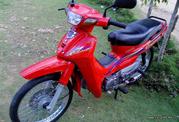 Yamaha Grypton R 105 Grypton R 115 F1ZR Καινούρια Δισκόπλακα εμπρός φρένου της SHARK!!!! πλήρες Σετ με Αντάπτορα !!!