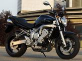  Yamaha FZ6 600 Fazer 2004/2007 Ψυγείο Νερού βεντιλατερ,και θερμοβαλβιδα σε άριστη κατάσταση!!!!