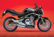 Kawasaki  ER-6n ER-6f -ER-6n 2006 2007 2008 καινουριο  ψυγείο νερού !!!!