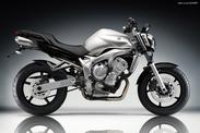 Yamaha FZ6 Fazer FZ6 Naket 2004-2007 Καινούριο Ψυγείο Νερού!!!