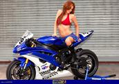 Yamaha R6/YZF-R6 2007-2009 Ψυγείο νερού σε άριστη κατάστασή!!!