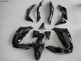 HONDA  PCX 125-150 2010-2014 ΚΑΙΝΟΥΡΙΟ ΚΙΤ ΠΛΑΣΤΙΚΩΝ FAIRING ΚΟΥΣΤOYMI!!!!!