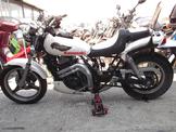 KAWASAKI BN 250 ELIMINATOR ΓΙΑ ΑΝΤΑΛΛΑΚΤΙΚΑ!!!!!!!!!!!!!!