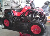 Bashan Torronto 49 …