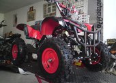 Bashan Torronto 49 …
