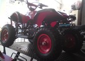Bashan Torronto 49 …