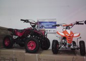 Bashan Torronto 49 …