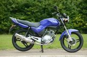 Yamaha YBR 125 … thumbnail