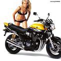 Yamaha XJR1200 XJR1300 … thumbnail