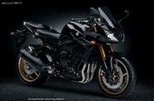 Yamaha FZ1 Fazer … thumbnail