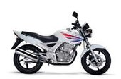 Honda CBX250-CBF250 1994/2005 … thumbnail