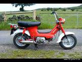 Honda cf50 Chaly- … thumbnail