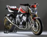 Yamaha FAZER 1000 … thumbnail