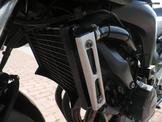 YAMAHA FZ 6 … thumbnail