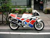 Yamaha FZR250 Genesis … thumbnail