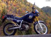 Honda NX250 Dominator- … thumbnail