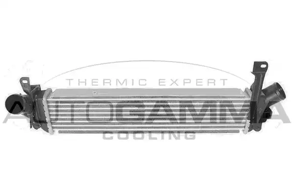 Ψυγείο Intercooler RENAULT KANGOO MPV / ΠΟΛΥΜΟΡΦΙΚΑ / 5dr 2003 - 2008 ( KC ) 1.5 dCi  ( K9K 718  ) (84 hp ) Πετρέλαιο #070306210