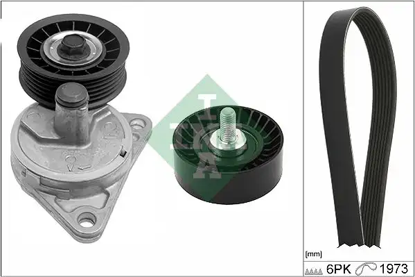 Σετ ιμάντων poly-V FORD FOCUS 2002 - 2004 ( MK1B ) INA 529 0281 10