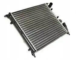 Ψυγείο Νερού RENAULT EXPRESS Mini Van 1995 - 1998 1.9 D  (   ) (64 hp ) Πετρέλαιο #073006300