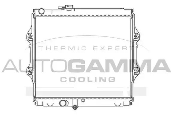 Ψυγείο Νερού TOYOTA HILUX Pick-Up 1998 - 2001 ( LN140-170 ) 2.4 D (LN145)  ( 2L  ) (84 hp ) Πετρέλαιο #011006315