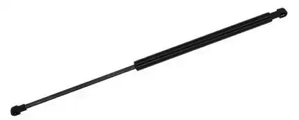 Αμορτισέρ Παγκάζ VW NEW BEETLE Hatchback / 3dr 2005 - 2011 ( 9C1 ) 1.4  ( BCA  ) (75 hp ) Βενζίνη #013808315