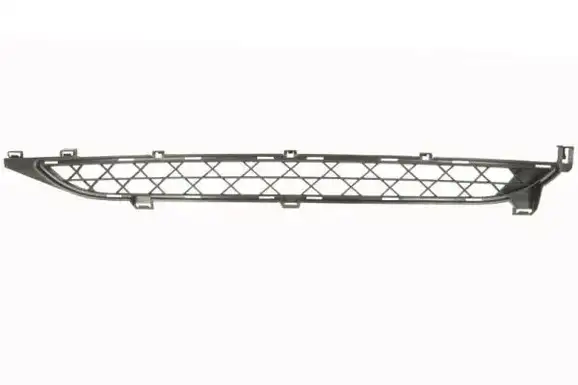 Δίχτυ Προφυλακτήρα CITROEN C4 PICASSO MPV / ΠΟΛΥΜΟΡΦΙΚΑ / 5dr 2007 - 2012 ( UD ) 1.6 16V  ( 5FX (EP6DT)  ) (150 hp ) Βενζίνη #071704800