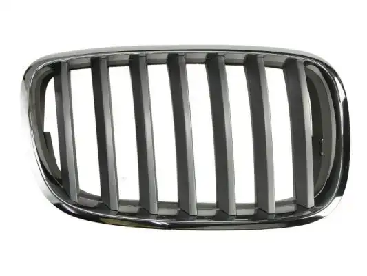Καρδιά Μάσκας BMW X5 SUV/ ΕΚΤΟΣ ΔΡΟΜΟΥ / 5dr 2007 - 2010 ( Ε70 ) 3.0 d  ( M57 D30 (306D3)  ) (184 hp ) Πετρέλαιο #093304651