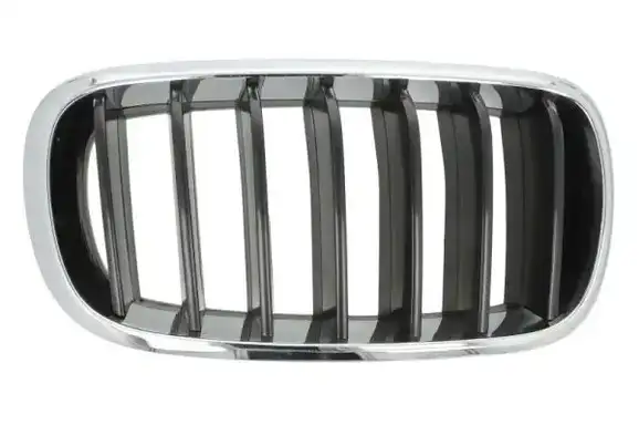 Καρδιά Μάσκας BMW X5 SUV/ ΕΚΤΟΣ ΔΡΟΜΟΥ / 5dr 2014 - 2018 ( F15 ) M  ( S63 B44 B  ) (575 hp ) Βενζίνη #151104631