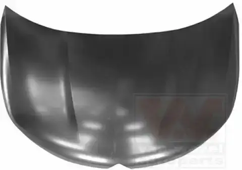 Καπό CITROEN C4 Hatchback / 5dr 2011 - 2015 1.6 BlueHDi  ( BHY (DV6FD)  ) (99 hp ) Πετρέλαιο #197000070
