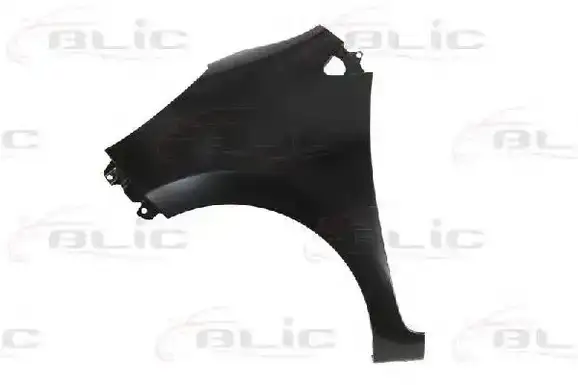 Φτερό KIA PICANTO Hatchback / 5dr 2012 - 2015 1.0  ( G3LA  ) (69 hp ) Βενζίνη #432000652