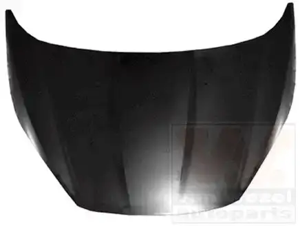 Καπό FORD FIESTA Hatchback / 3dr 2013 - 2016 1.0  ( P4JA,P4JB,P4JC,P4JD  ) (80 hp ) Βενζίνη #324000070