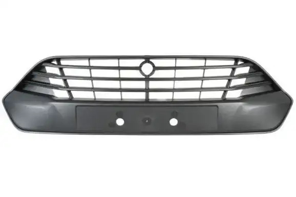 Δίχτυ Προφυλακτήρα FORD TRANSIT CONNECT TOURNEO MPV / ΠΟΛΥΜΟΡΦΙΚΑ / 5dr 2013 - 2015 1.0 EcoBoost  ( M2GA,M2GB  ) (100 hp ) Βενζίνη #326004800