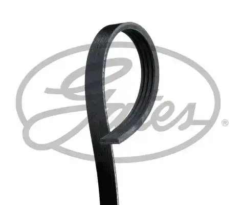 Ιμάντας poly-V FORD FOCUS 2011 - 2014 GATES 4PK1360